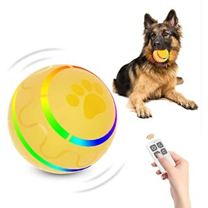 Remote Control Dog Ball - Interactive Toy for Dogs