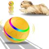 Remote Control Dog Ball - Interactive Toy for Dogs Remote Control Dog Ball - Interactive Toy for Dogs