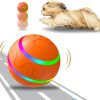 Remote Control Dog Ball - Interactive Toy for Dogs Remote Control Dog Ball - Interactive Toy for Dogs