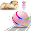 Remote Control Dog Ball - Interactive Toy for Dogs Remote Control Dog Ball - Interactive Toy for Dogs