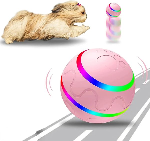 Remote Control Dog Ball - Interactive Toy for Dogs Remote Control Dog Ball - Interactive Toy for Dogs