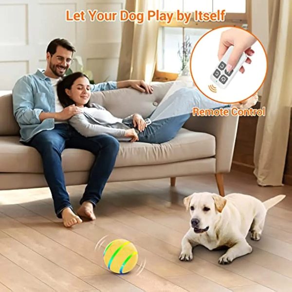 Remote Control Dog Ball - Interactive Toy for Dogs Remote Control Dog Ball - Interactive Toy for Dogs