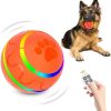 Remote Control Dog Ball - Interactive Toy for Dogs Remote Control Dog Ball - Interactive Toy for Dogs
