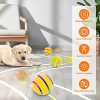 Remote Control Dog Ball - Interactive Toy for Dogs Remote Control Dog Ball - Interactive Toy for Dogs
