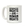 Reproductive Rights Are Human Rights Coffee Mug Reproductive Rights Are Human Rights Coffee Mug