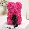 Rose Flower Teddy Bear 25cm Romantic Gift with Box