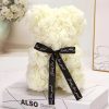 Rose Flower Teddy Bear 25cm Romantic Gift with Box