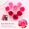 Rose Petal Scented Soap Gift Set Rose Petal Scented Soap Gift Set