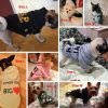 Security Dog Clothes Small Dog Hoodie Coat Security Dog Clothes Small Dog Hoodie Coat