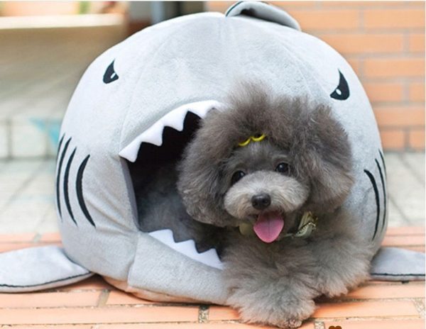 Shark Mouth Pet Bed Shark Mouth Pet Bed