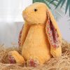 Shy Bunny Plush Toy Soft Floppy-Ear Gift for Girls Shy Bunny Plush Toy Soft Floppy-Ear Gift for Girls