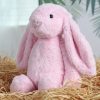 Shy Bunny Plush Toy Soft Floppy-Ear Gift for Girls Shy Bunny Plush Toy Soft Floppy-Ear Gift for Girls
