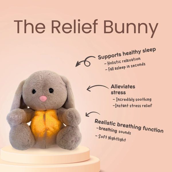 Sleepy Bunny Plush Toy Sleepy Bunny Plush Toy