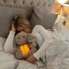 Sleepy Bunny Plush Toy Sleepy Bunny Plush Toy