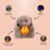 Sleepy Bunny Plush Toy Sleepy Bunny Plush Toy