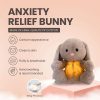 Sleepy Bunny Plush Toy Sleepy Bunny Plush Toy