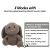 Sleepy Bunny Plush Toy Sleepy Bunny Plush Toy
