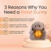 Sleepy Bunny Plush Toy Sleepy Bunny Plush Toy