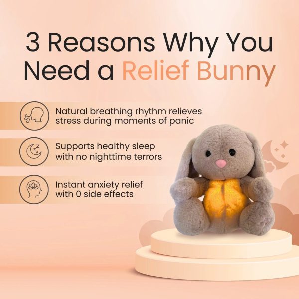 Sleepy Bunny Plush Toy Sleepy Bunny Plush Toy