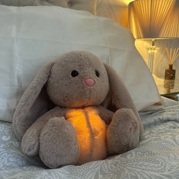 Sleepy Bunny Plush Toy Sleepy Bunny Plush Toy