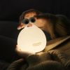 Slug Night Light For Kids Slug Night Light For Kids