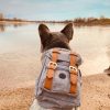 Small Dog Backpack Harness