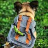 Small Dog Backpack Harness