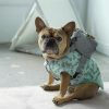 Small Dog Backpack Harness