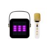 Small Portable Karaoke Set Small Portable Karaoke Set