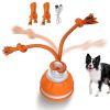 Smart Interactive Dog Toy Ball - Motion Activated Chew Toy Smart Interactive Dog Toy Ball - Motion Activated Chew Toy