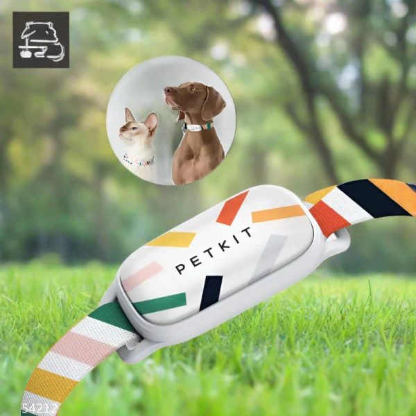Smart Pet Collar With Tracking App Smart Pet Collar With Tracking App
