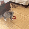 Smart Sensing Tricky Snake Toy Smart Sensing Tricky Snake Toy