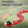 Smart Sensing Tricky Snake Toy Smart Sensing Tricky Snake Toy