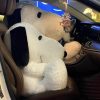 Snoopy Plush Pillow Soft Cuddly Character Doll Snoopy Plush Pillow Soft Cuddly Character Doll