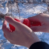 Snow Ball Maker