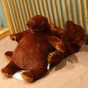 Soft Brown Teddy Bear Plush Pillow 40cm Soft Brown Teddy Bear Plush Pillow 40cm
