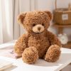 Soft Cuddle Teddy Bear Plush Pillow