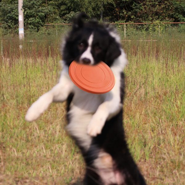 Soft Dog Frisbee Soft Dog Frisbee