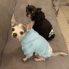 Soft Fleece Hoodie Soft Fleece Hoodie