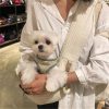 Soft Handbag Pet Carrier Soft Handbag Pet Carrier