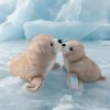 Soft Seal Plush Pillow Soft Seal Plush Pillow