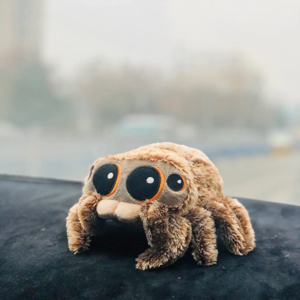 Soft Spider Plush Pillow – Cute Black Stuffed Animal Decor Soft Spider Plush Pillow – Cute Black Stuffed Animal Decor