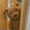 Soothing Teddy Bear Plush Pillow Soothing Teddy Bear Plush Pillow