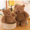 Soothing Teddy Bear Plush Pillow Soothing Teddy Bear Plush Pillow