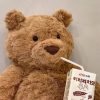 Soothing Teddy Bear Plush Pillow Soothing Teddy Bear Plush Pillow