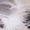 Sparkly Rhinestone Fishnet Feather Sleeve Long Sleeve Sheer Mini Dress - White Sparkly Rhinestone Fishnet Feather Sleeve Long Sleeve Sheer Mini Dress - White