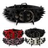 Spiked Leather Dog Collar Spiked Leather Dog Collar