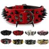 Spiked Leather Dog Collar Spiked Leather Dog Collar