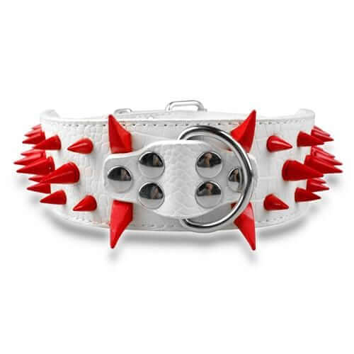 Spiked Leather Dog Collar Spiked Leather Dog Collar