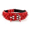 Spiked Leather Dog Collar Spiked Leather Dog Collar